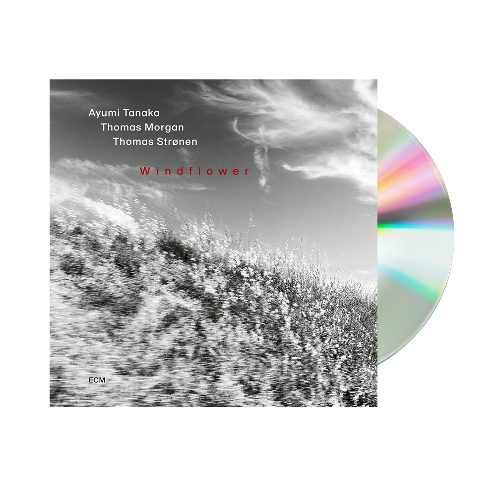 Ayumi Tanaka, Thomas Morgan, Thomas Strønen: Windflower CD